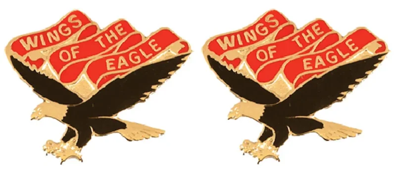 101st aviation battalion insignia pair eagle wings