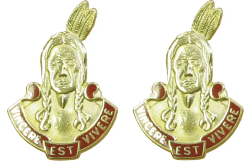 101st field artillery massachusetts insignia pair vincere est vivere