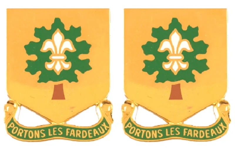 101st support battalion insignia pair portons les