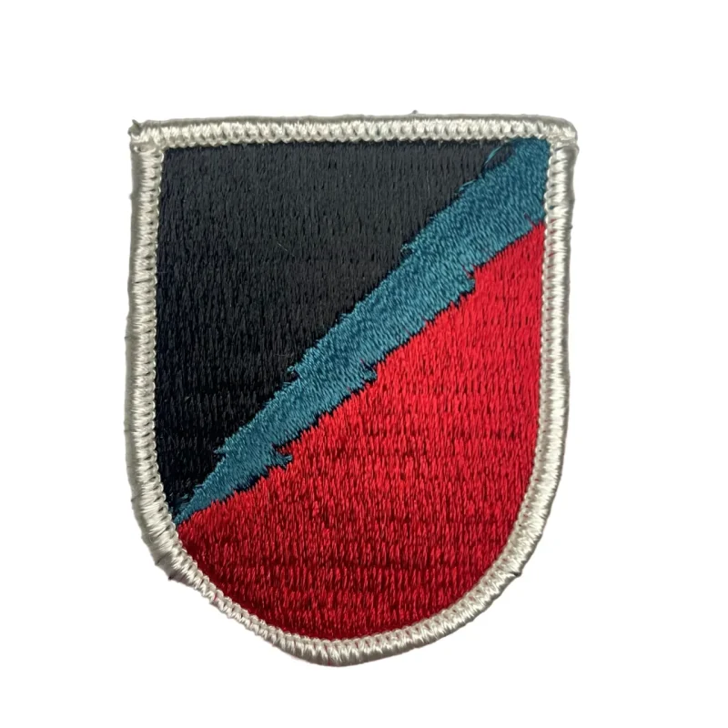 106th military intelligence battalion c company beret emblem