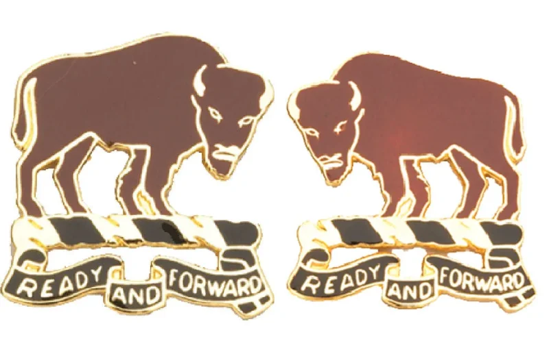 10th cavalry unit insignia pair ready and forward