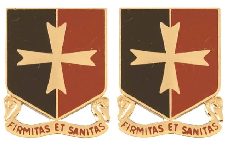 113th support battalion insignia pair strength health