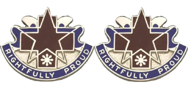 131st field hospital insignia pair proudly display