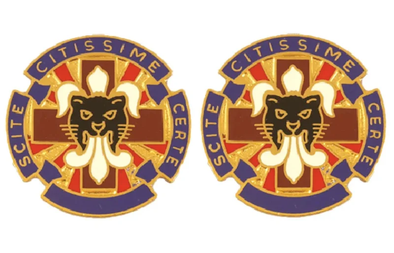 13th combat support hospital insignia pair authentic military unit emblem