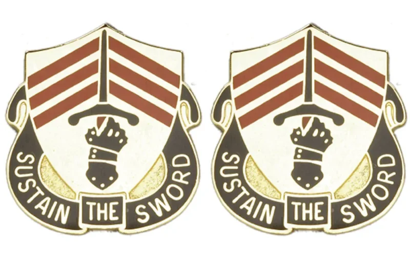 143rd support battalion insignia pair sustain the sword