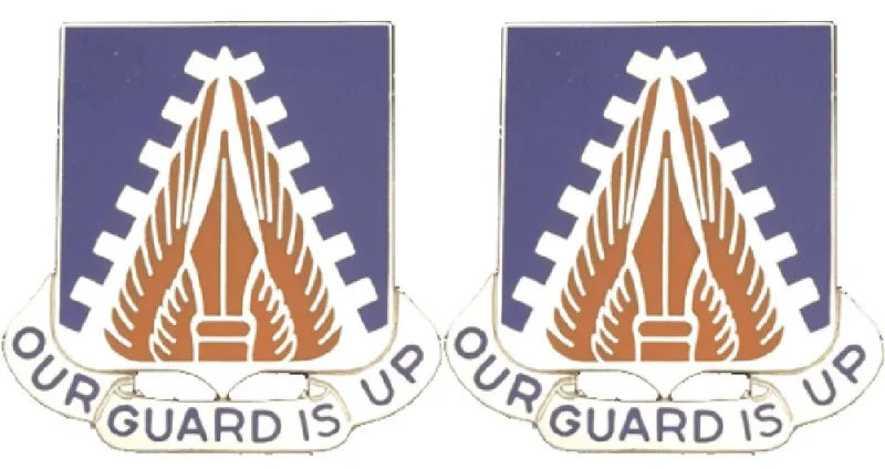 150th aviation battalion insignia pair