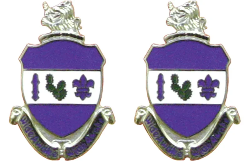 151st infantry indiana unit insignia pair wide awake