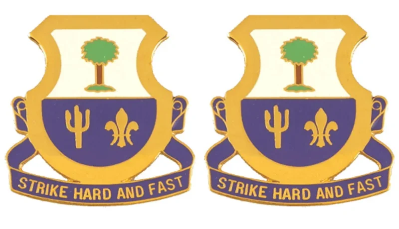 163rd cavalry unit insignia pair