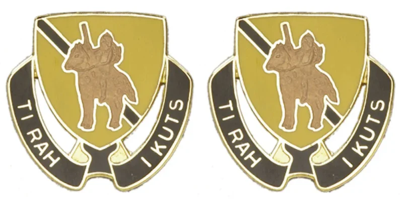 167th cavalry unit insignia pair ti rah i kuts