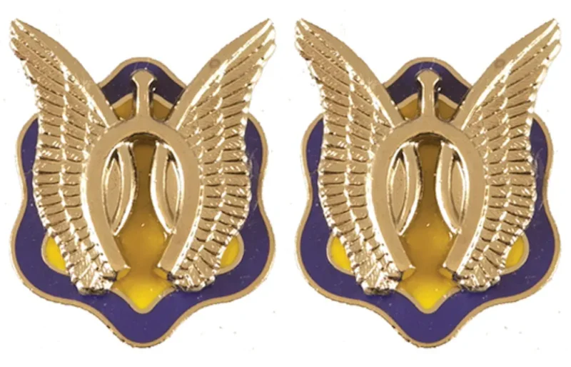 17th cavalry unit insignia pair