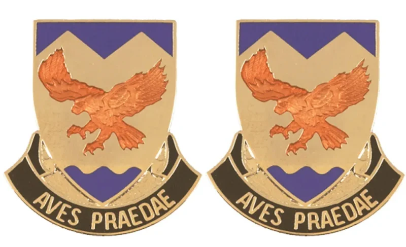 183rd aviation battalion insignia pair aves praedae