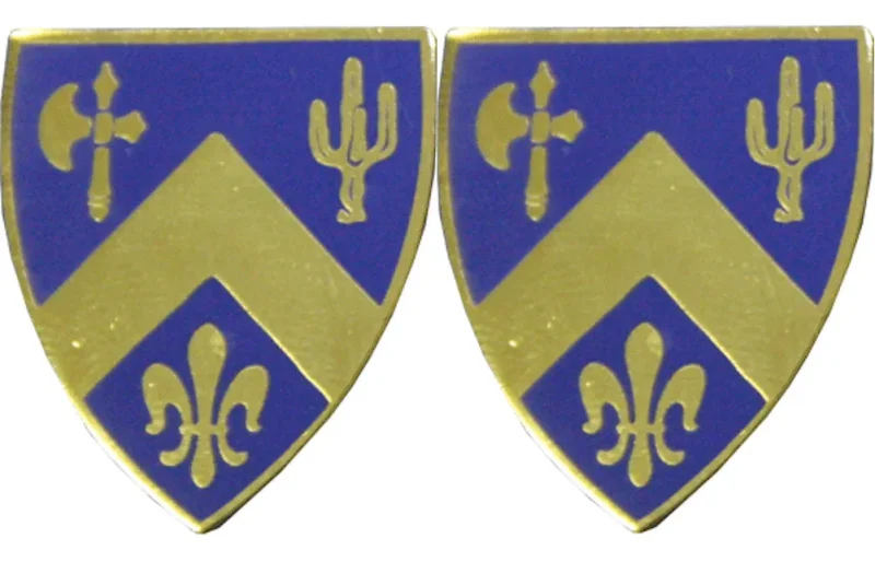 184th ca arng infantry unit insignia pair