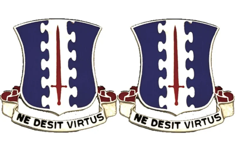 187th infantry unit insignia pair