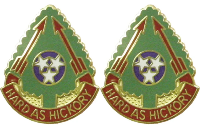 196th field artillery tennessee unit insignia pair