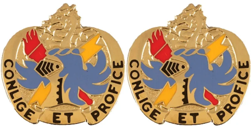 202nd military intelligence battalion insignia pair distinctive unit emblem