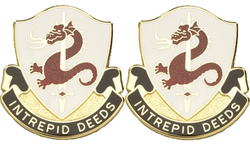 204th regiment insignia pair