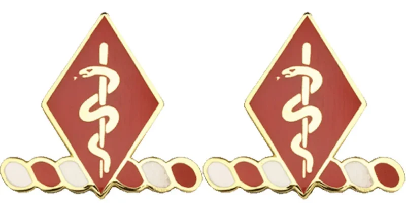 204th support battalion insignia pair