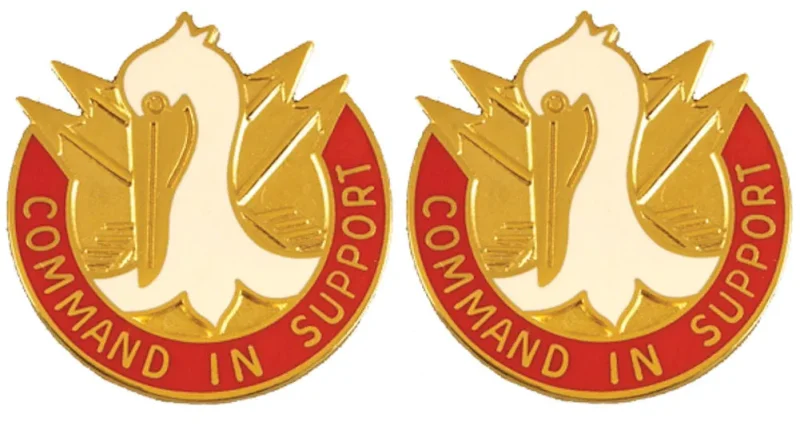 204th support group insignia pair command support