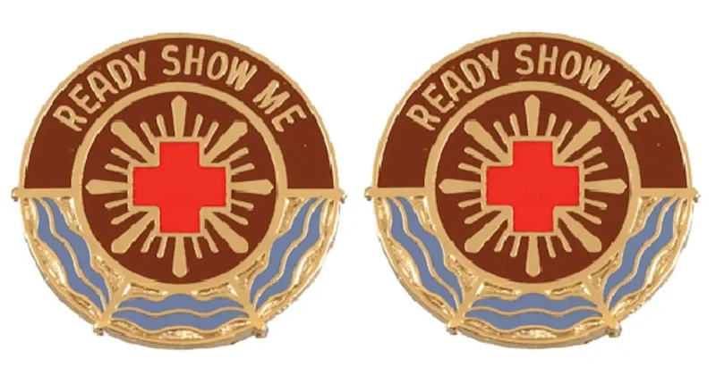 205th medical battalion insignia pair ready to display