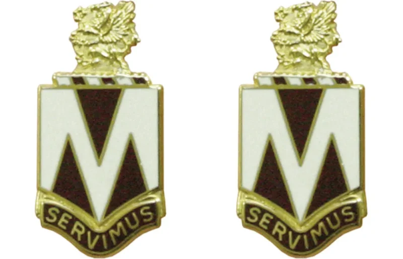 207th evac hospital insignia pair servimus