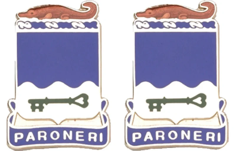 211th arng fl unit insignia pair paroneri