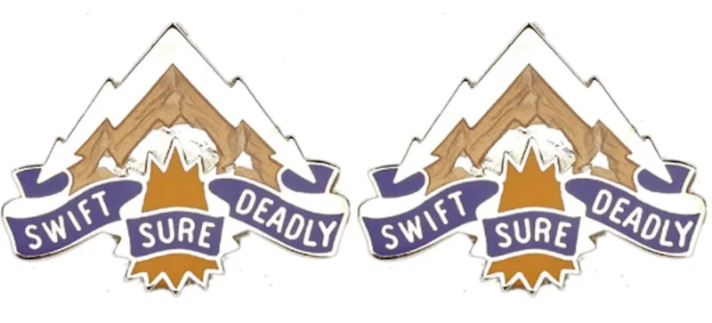 211th avn group insignia pair swift sure deadly