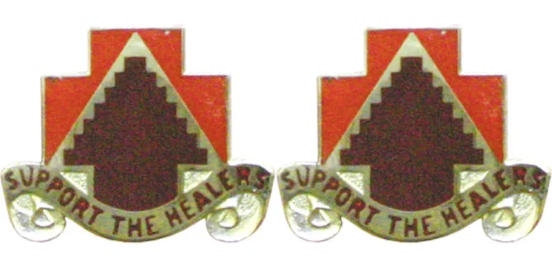 226th medical battalion insignia pair