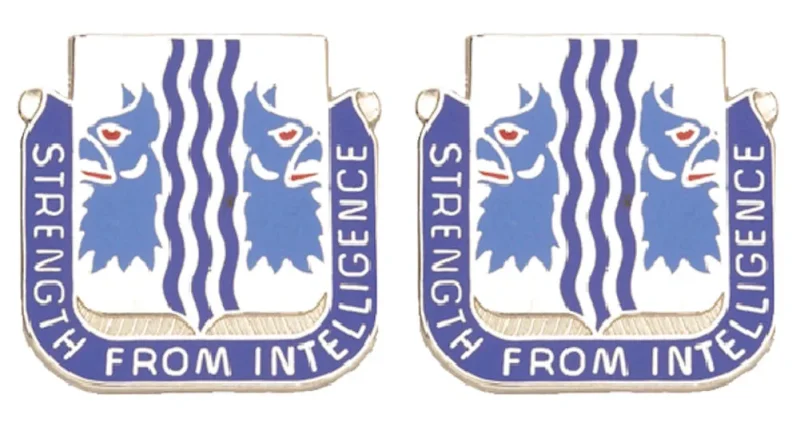 229th military intelligence battalion insignia pair