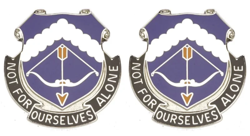 245th aviation unit insignia set pair