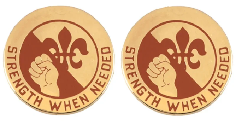 249th gen hospital distinctive unit insignia pair