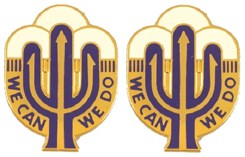 258th support center insignia pair