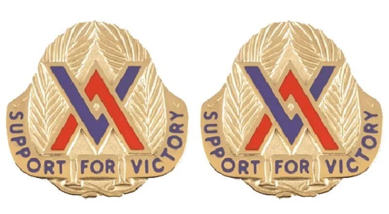 264th s s battalion insignia pair