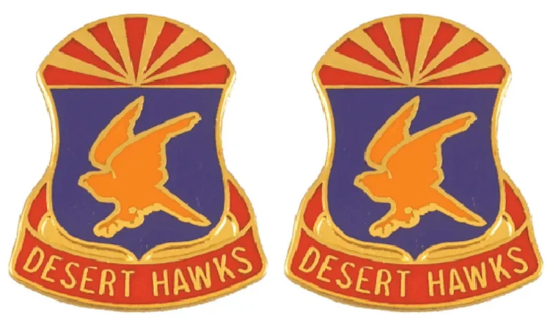 285th aviation regiment insignia pair distinctive unit