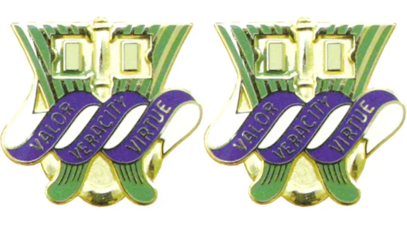 286th s s battalion insignia pair distinctive unit