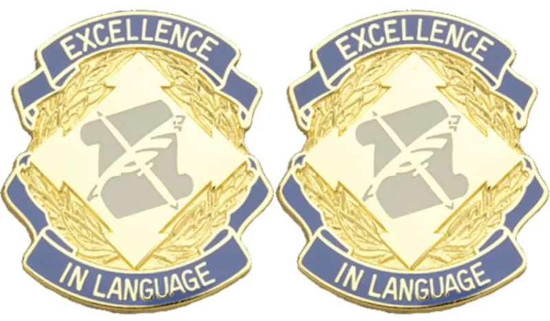 300 military intelligence brigade insignia pair