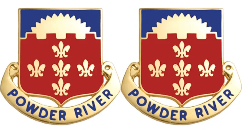 300th arng wyoming unit insignia pair