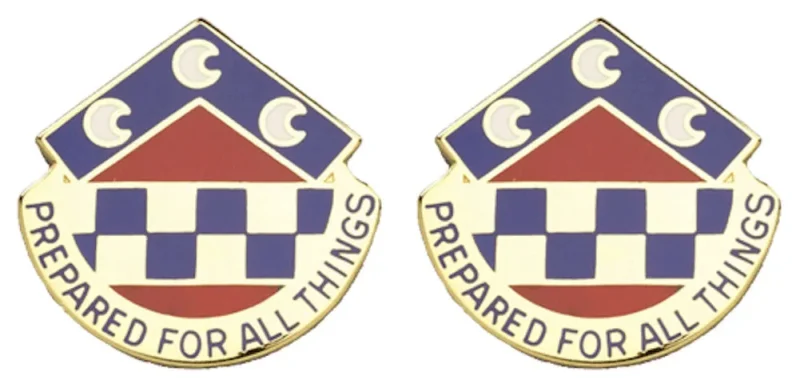 300th support group usar insignia pair