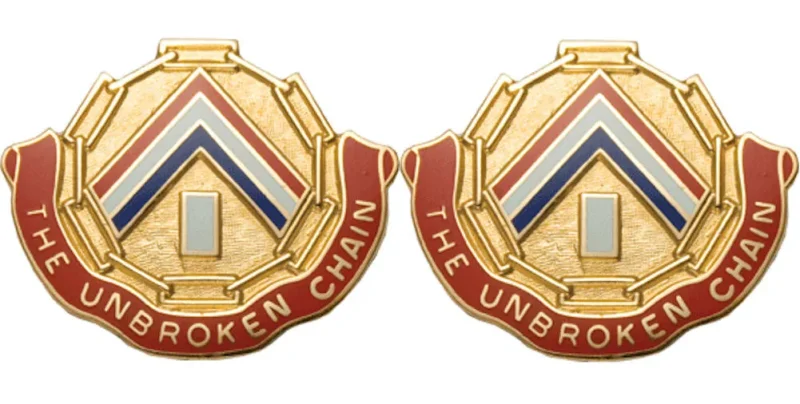 301st area support gp insignia pair