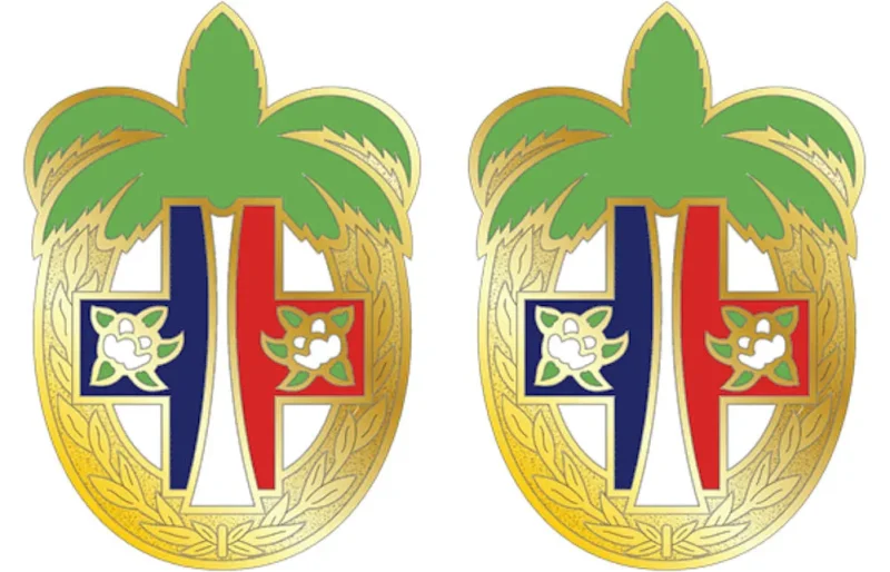 305th field hosp usar unit insignia pair