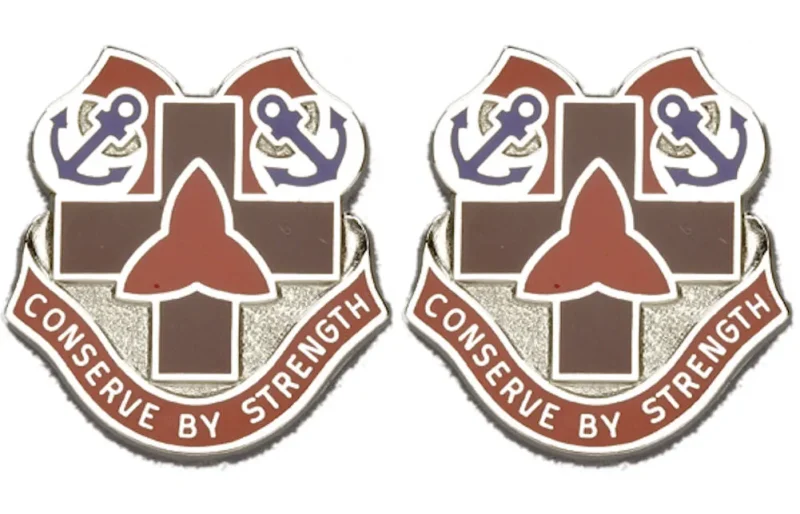 307th medical group insignia pair