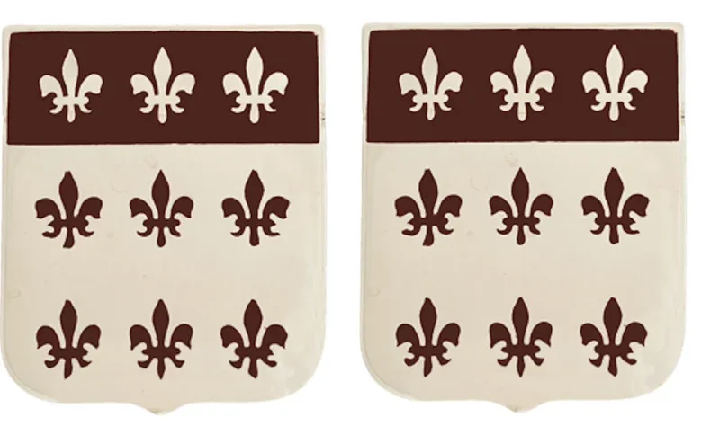 307th support battalion insignia pair