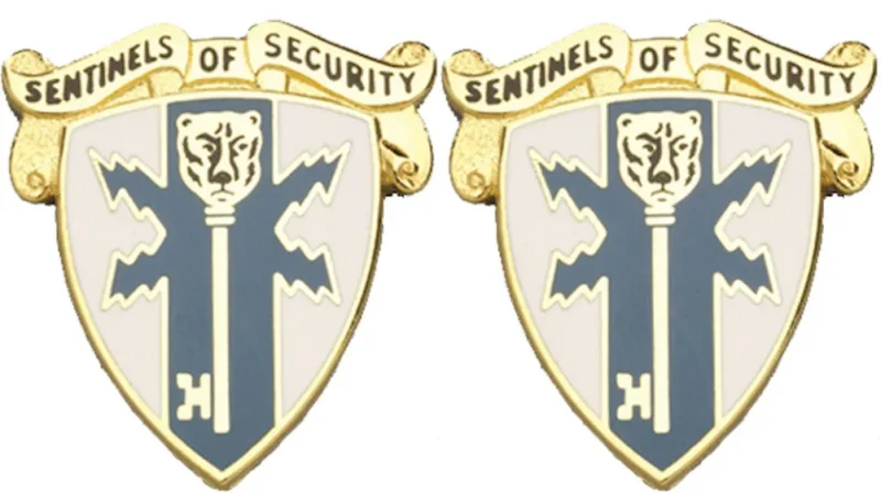 309th military intelligence battalion insignia pair