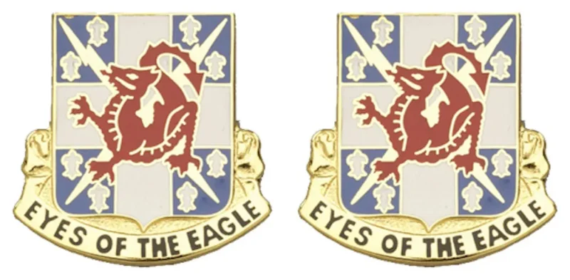 311th military intelligence battalion insignia pair