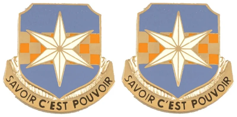 313th military intelligence battalion insignia pair