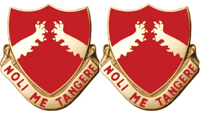 321st fa unit insignia set 2 piece