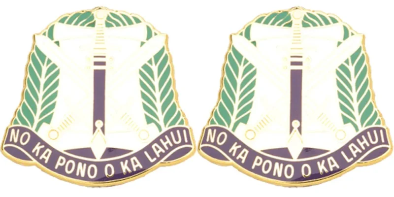 322nd ca bde usar insignia pair of badges