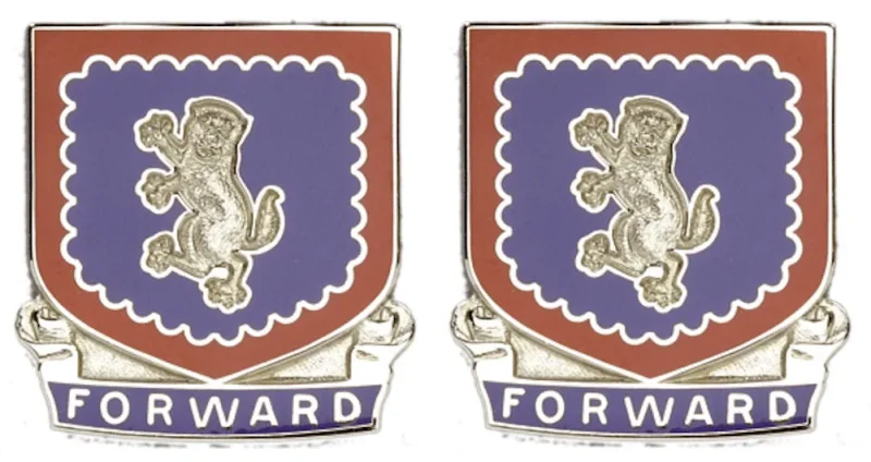 340th regiment distinctive insignia pair