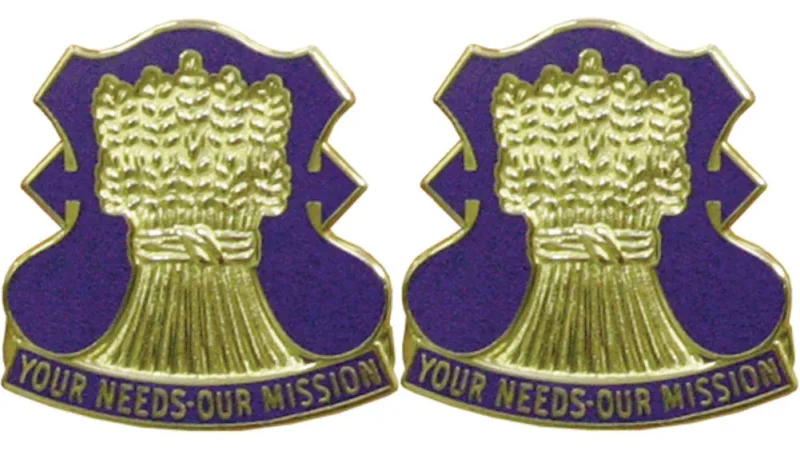 357th support battalion insignia pair