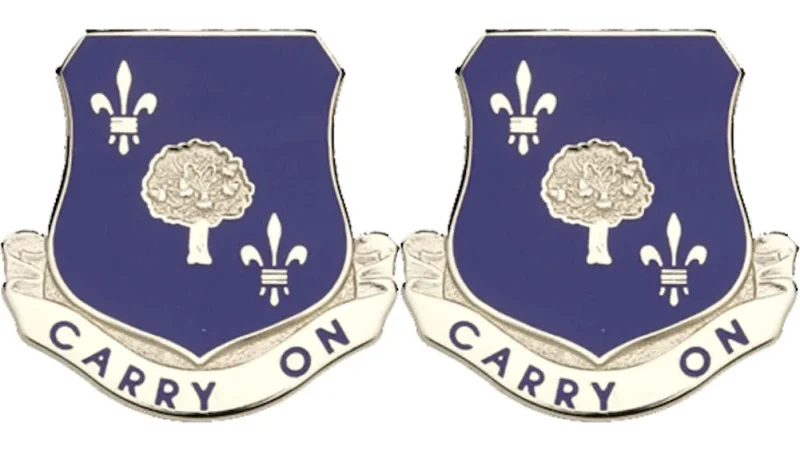 359th regiment distinctive unit insignia pair