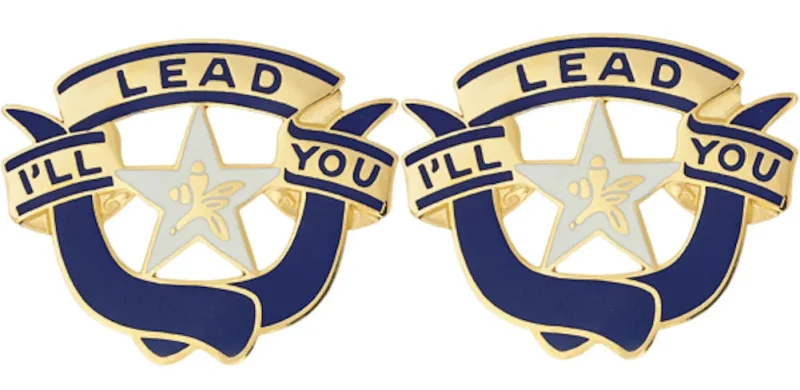 36th brigade insignia pair leadership symbol